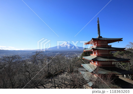 新倉山浅間公園からの富士山と五重塔 (山梨) 118363203