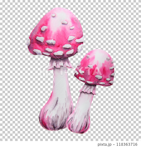 Pink fly agaric, poisonous mushroom. Watercolor hand drawn illustration. Amanita muscaria clip art for Halloween cards, fairy tales, books. Attribute of witches' sabbath, esotericism, magical forest 118363716