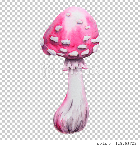 Pink fly agaric, poisonous mushroom. Watercolor hand drawn illustration. Amanita muscaria clip art for Halloween cards, fairy tales, books. Attribute of witches' sabbath, esotericism, magical forest Pink fly agaric, poisonous mushroom. Watercolor hand drawn illustration. Amanita muscaria clip art for Halloween cards, fairy tales, books. Attribute of witches' sabbath, esotericism, magical forest 118363725