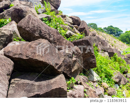 美しく厳かな駿府城址の景色 天守台の発掘 美しく厳かな駿府城址の景色 天守台の発掘 118363911