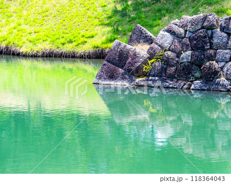 美しく厳かな駿府城址の景色　本丸堀跡 118364043