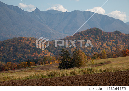 紅葉した層雲峡の森林と山 118364376