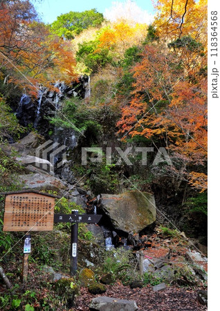 箱根町　飛竜の滝と紅葉と飛竜の滝案内板 118364568