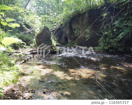 樽前ガローの美しい風景 樽前ガローの美しい風景 118365357