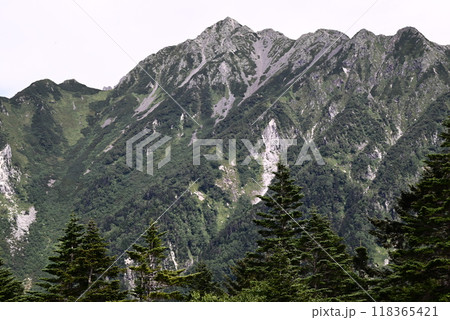 秋、西穂高岳 秋、西穂高岳 118365421