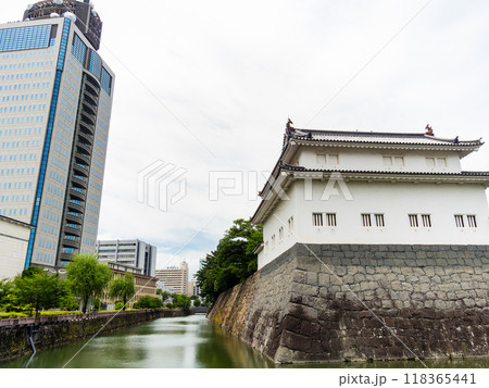 駿府城中堀と巽櫓の景色 駿府城中堀と巽櫓の景色 118365441