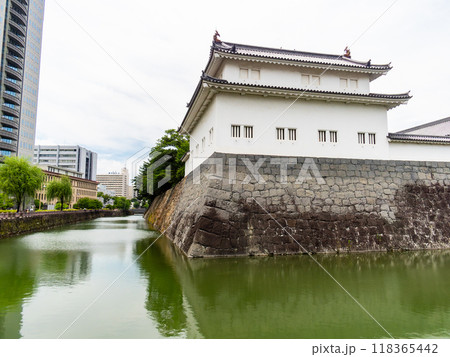 駿府城中堀と巽櫓の景色 駿府城中堀と巽櫓の景色 118365442