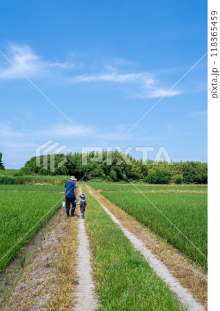 田んぼのあぜ道で生き物調べに来た父と子 118365459