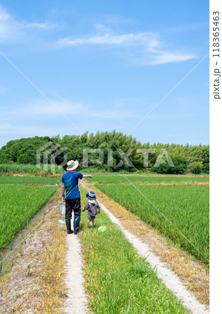 田んぼのあぜ道で生き物調べに来た父と子 118365463