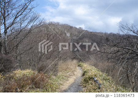 早春の赤城山の小沼から小地蔵岳の頂を望む 118365473