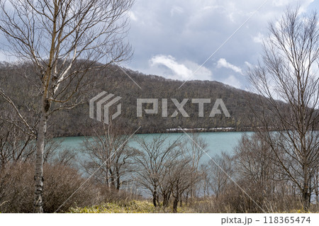 早春の赤城山の小沼とコバルトブルーの水面 118365474