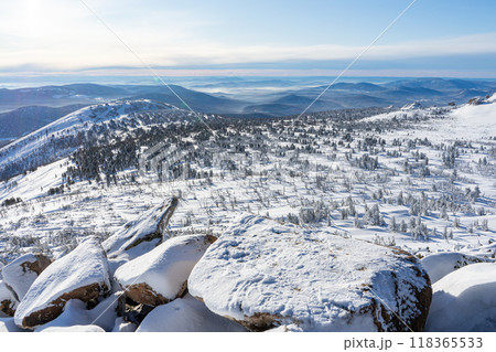 Big stones and sparse coniferous forest, snowy winter valley in the mountains. Nature landscape panorama 118365533