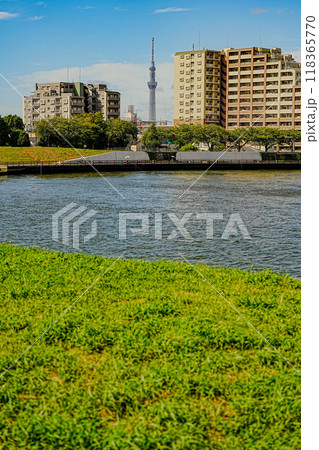 東京葛飾奥戸に流れる中川テラスから望むスカイツリー 東京葛飾奥戸に流れる中川テラスから望むスカイツリー 118365770