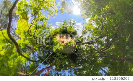 360度写真　リトルプラネットの不思議な世界　光あふれる夏の林間の散策路 118366202