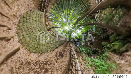 360度写真　リトルプラネットの不思議な世界　竹林の散策路 118366441