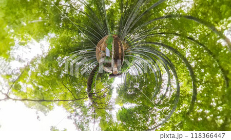 360度写真　リトルプラネットの不思議な世界　竹林の散策路 118366447