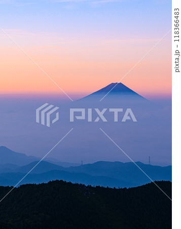 金峰山より望む朝焼けの富士山と雲海 118366483