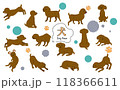 可愛いトイプードルのポーズイラストセット 118366611