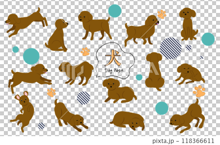 Cute toy poodle pose illustration set 118366611