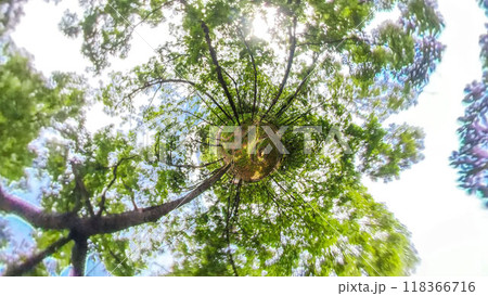 360度写真 リトルプラネットの不思議な世界 マイマイ井戸の景色 360度写真 リトルプラネットの不思議な世界 マイマイ井戸の景色 118366716