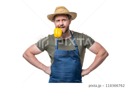 man in apron and hat biting sweet pepper vegetable isolated on white 118366762