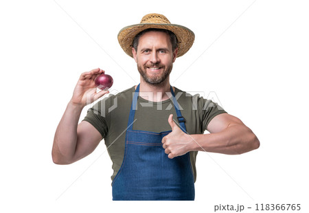 man in apron and hat with onion vegetable isolated on white. thumb up 118366765