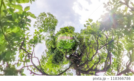 360度写真　リトルプラネットの不思議な世界　アジサイの花園 118366786