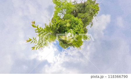 360度写真　リトルプラネットの不思議な世界　アジサイの花園 118366790