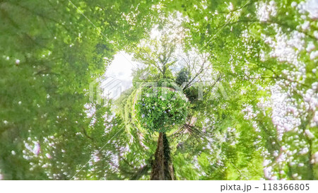 360度写真 リトルプラネットの不思議な世界 アジサイの花園 360度写真 リトルプラネットの不思議な世界 アジサイの花園 118366805