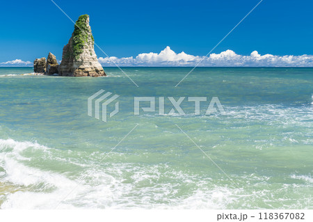 《千葉県》大波月海岸・外房美しい海岸 118367082