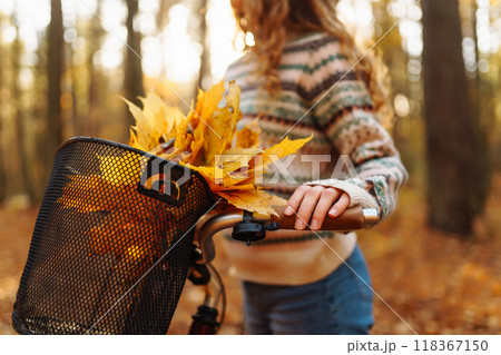 Autumn bouquet of yellow and orange leaves lying in a bicycle basket in a sunny autumn park. 118367150