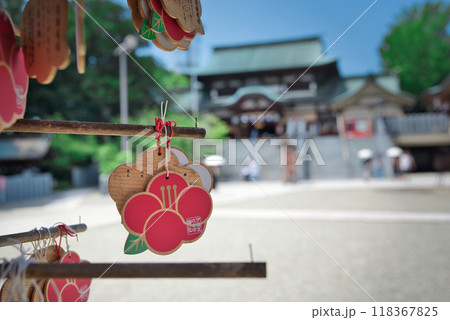 伊豫豆比古命神社の絵馬 118367825
