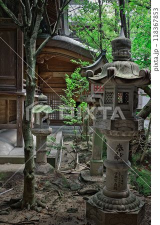 伊豫豆比古命神社 伊豫豆比古命神社 118367853