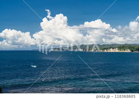 《千葉県》勝浦八幡岬・外房の大海原 118368605