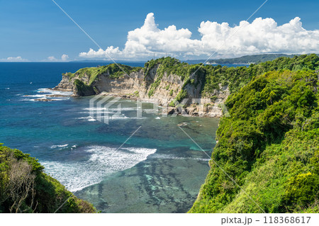 《千葉県》勝浦八幡岬・外房の大海原 118368617