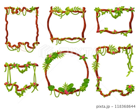 Frames from jungle lianas. Creeping vines borders, tropical leaves, flowers, curved branches, exotic rainforest parasitic plant, botanical ivy natural decor for cards and posters, vector set Frames from jungle lianas. Creeping vines borders, tropical leaves, flowers, curved branches, exotic rainforest parasitic plant, botanical ivy natural decor for cards and posters, vector set 118368644