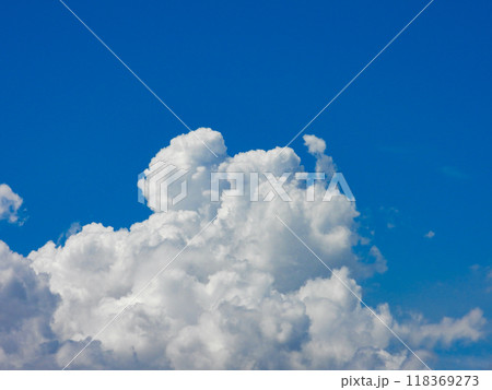 青空に浮かぶ雲 青空に浮かぶ雲 118369273