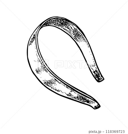 A hair band. Beauty and fashion. A black-and-white vector graphic illustration made by hand. A thin metal headband on the head is a beauty accessory. Isolate on a white background. 118369723