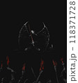 Vampire with sword, dark horror illustration, Vampire with red sword, people with torches, black metal album cover	 118371728