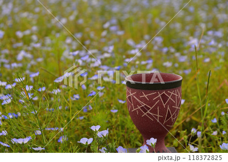 小さな花達に囲まれて 小さな花達に囲まれて 118372825