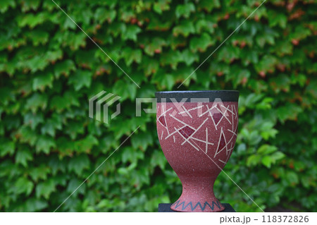 一面の蔦を背景に 118372826