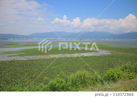 諏訪市　風景 118372868