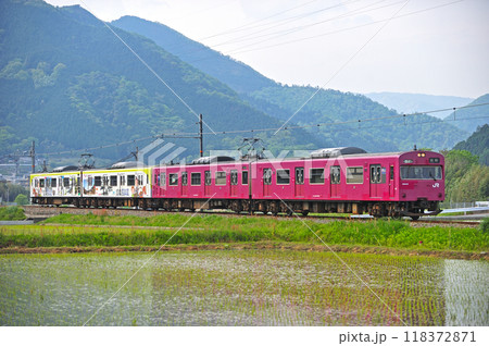 播但線　寺前ー新野　JR西日本　103系3500番台　BH3＋BH9編成（網干） 118372871