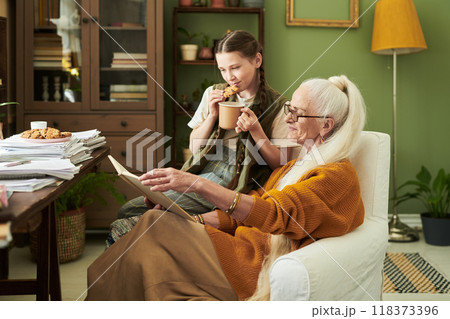 Elderly Woman Interacting with Young Girl in Cozy Living Room 118373396