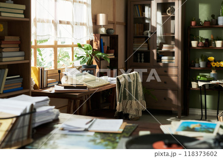 Cozy Home Office with Sunlight on Books and Desk 118373602