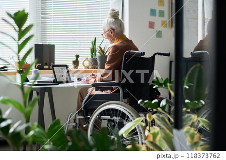 Senior Woman Working from Home in Wheelchair Senior Woman Working from Home in Wheelchair 118373762