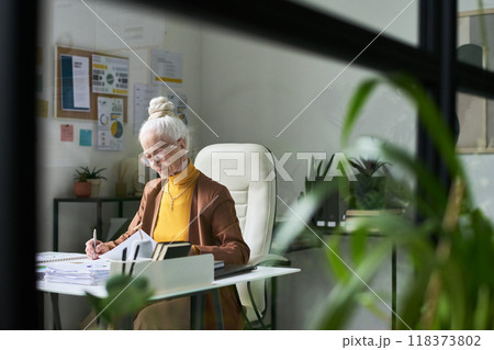 Senior Woman Working in Modern Home Office Space Senior Woman Working in Modern Home Office Space 118373802
