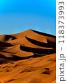 赤い砂漠 118373993
