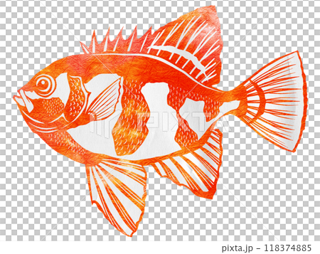 A paper cutout illustration of a beautiful sunset-colored fish, the madder fish 118374885