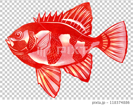 一種名為紅頸鹮的魚的剪紙插圖，其顏色類似於日落的顏色。 118374886